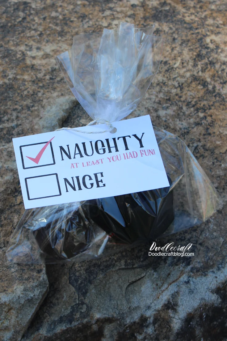 Naughty Lump of Coal Gift